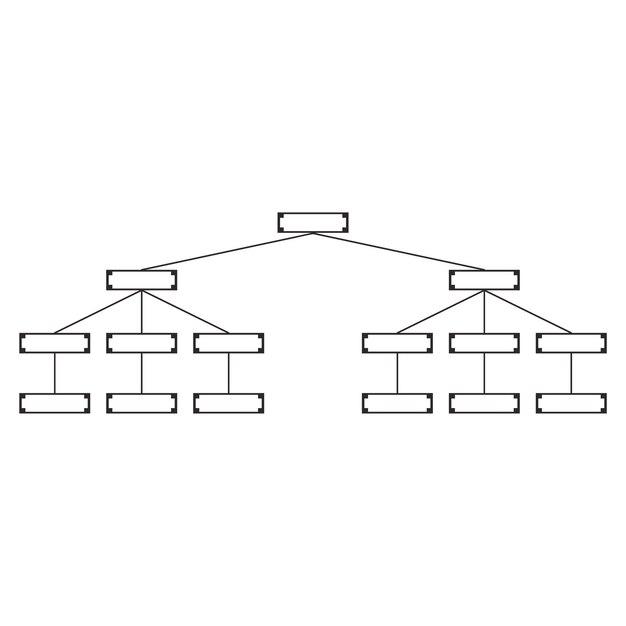What is taxonomy key? 