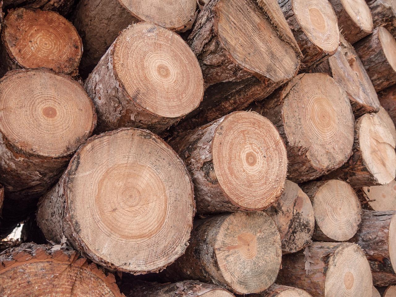 What is a jag of wood? 