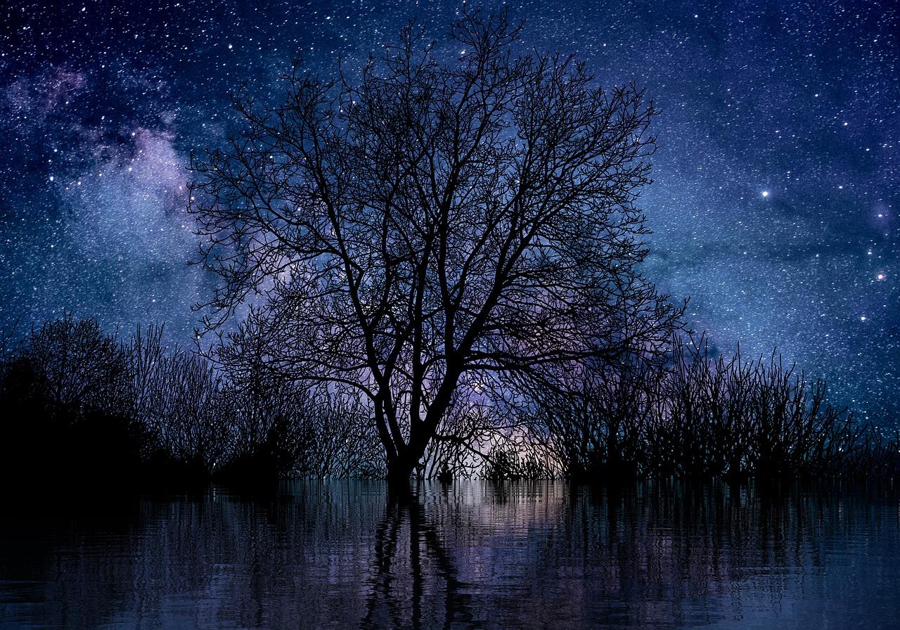 What are some acts of kindness in the book night? 