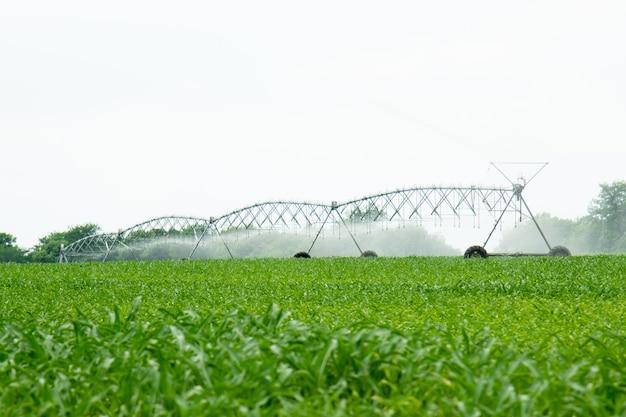 What is agriculture Short answer? 