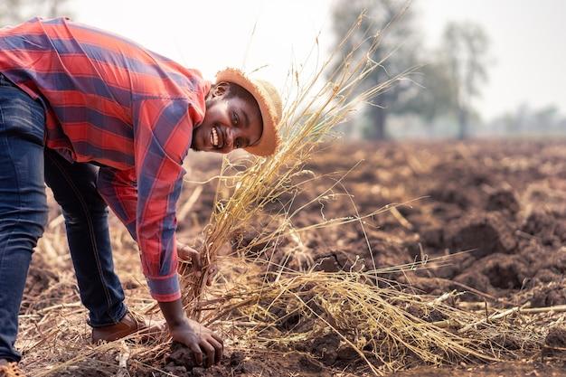 What is agriculture Short answer? 
