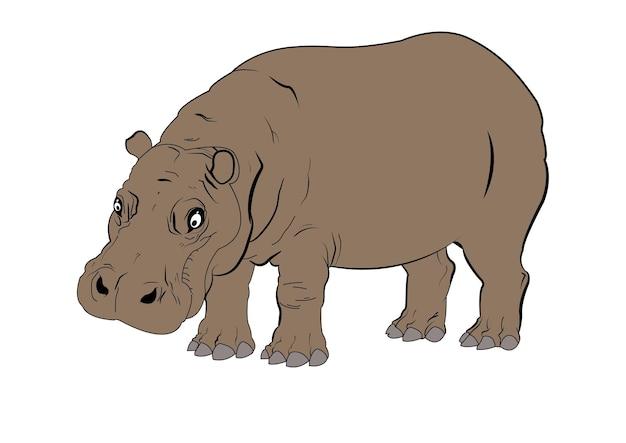 Are anteaters herbivores carnivores or omnivores? 
