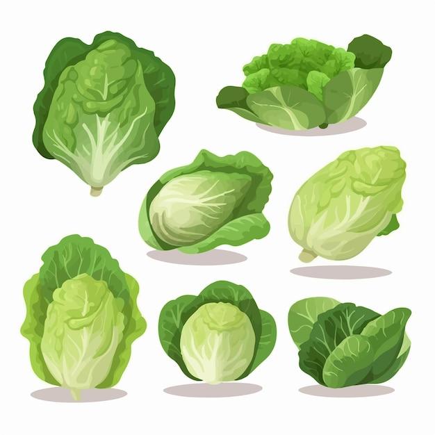 Are refreshers suitable for vegetarians? 