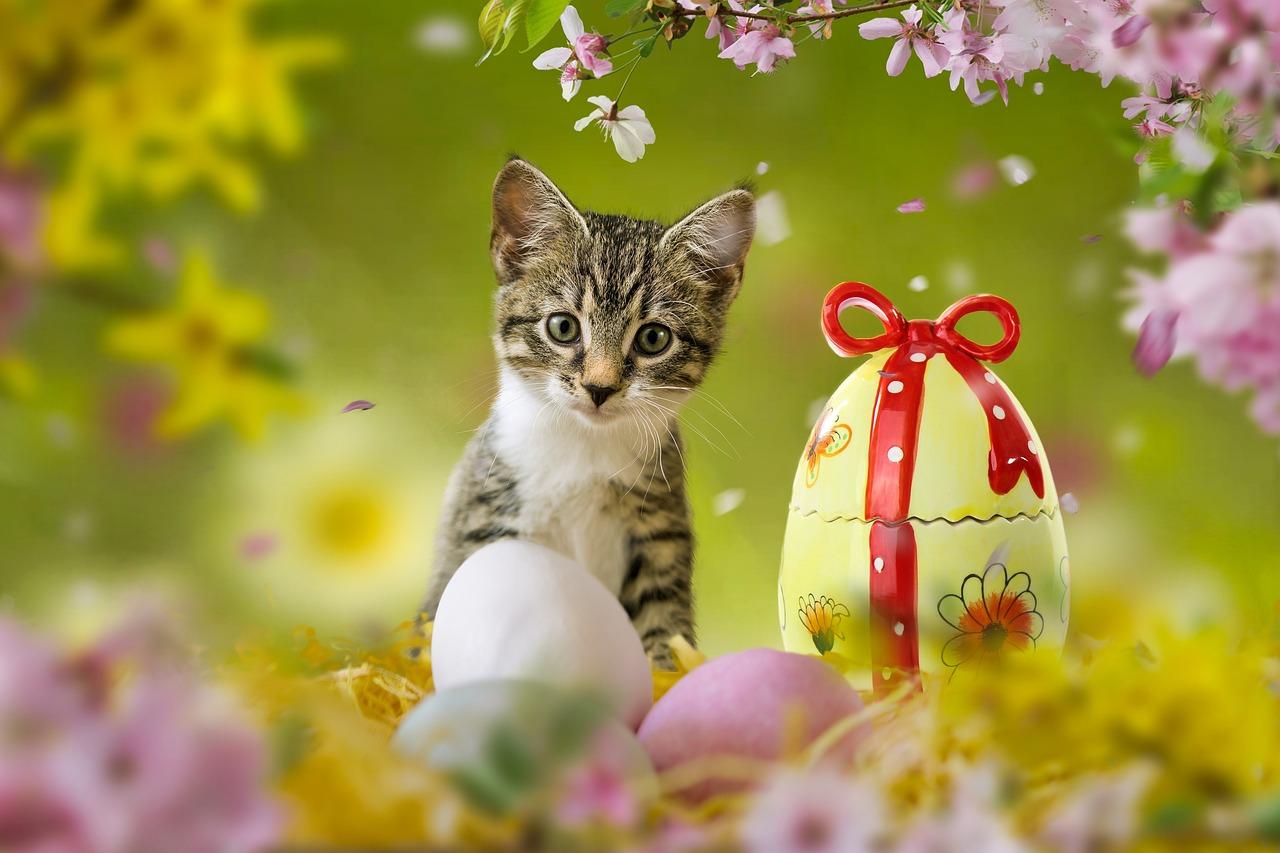 Are there Easter Eggs in Google Chat? 