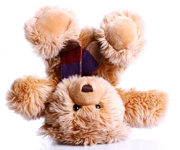 Are Webkinz still popular? 