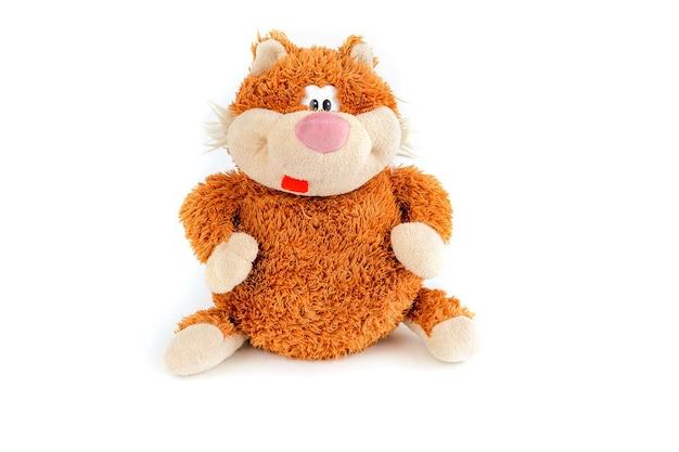 Are Webkinz still popular? 