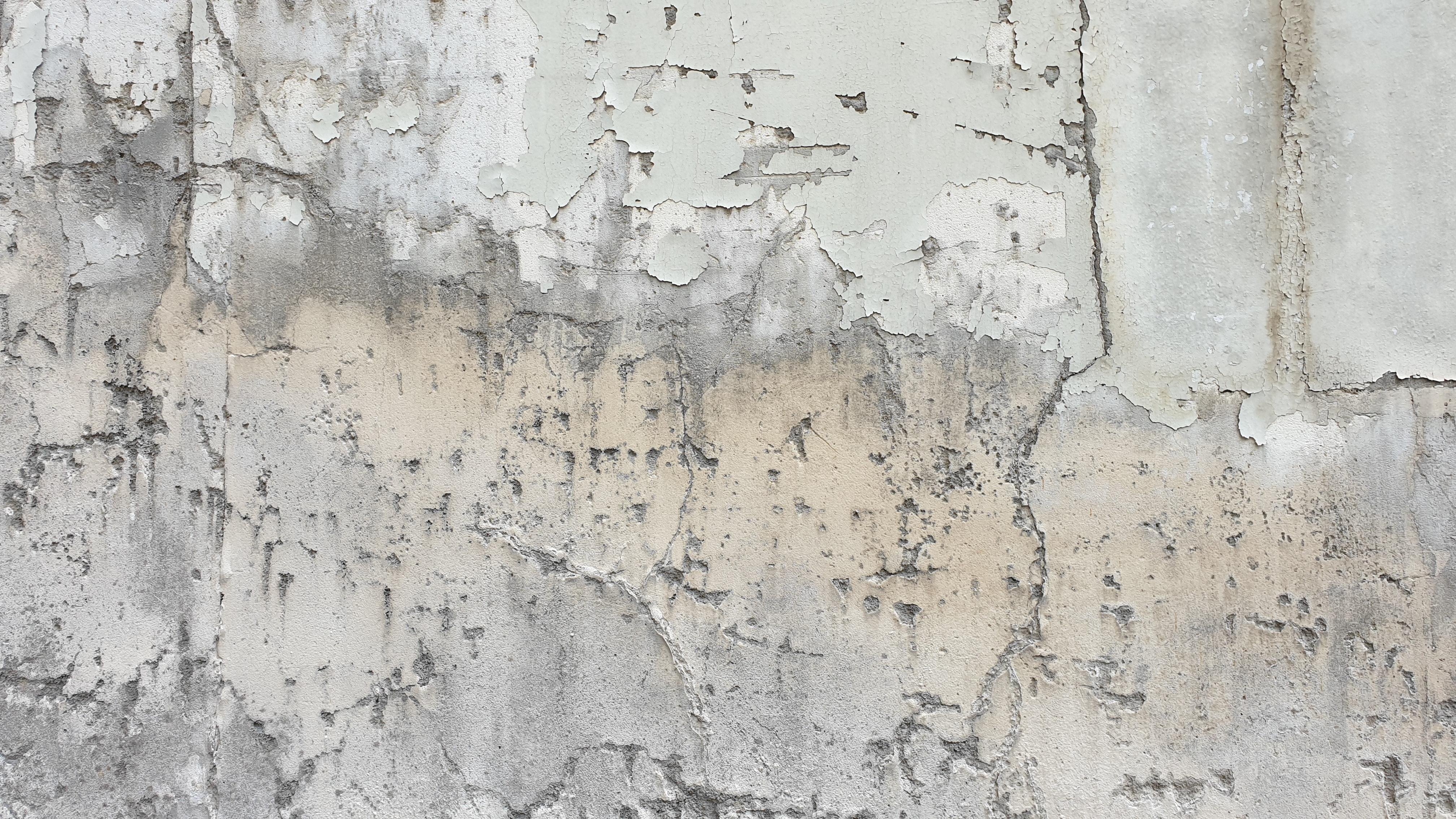 How do you get rid of bees in concrete cracks? 