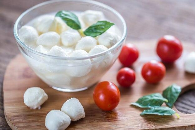 Can bocconcini be used instead of mozzarella? 