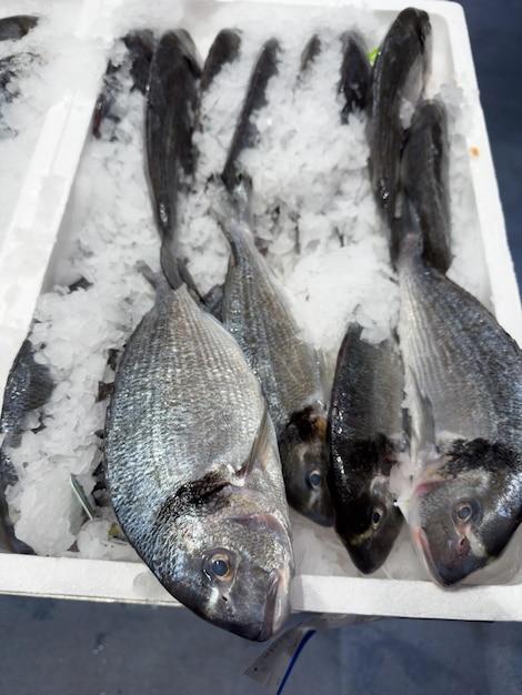 Can fish survive in closed containers? 