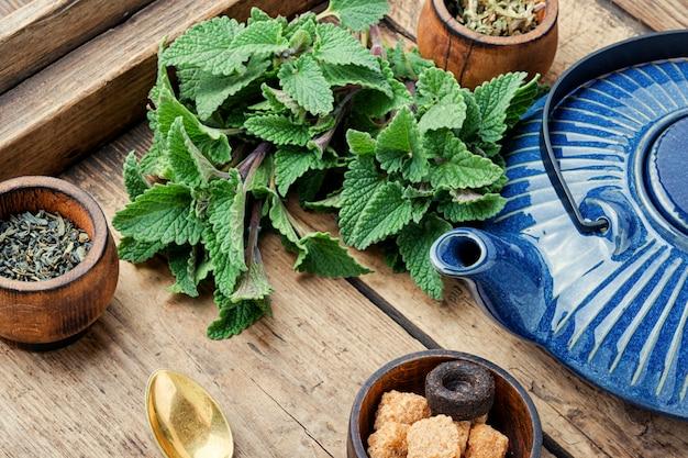 Can green tea cause miscarriage? 