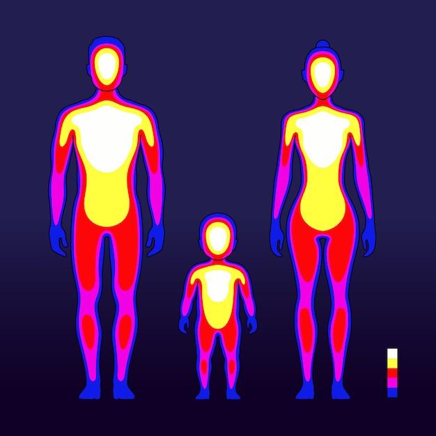 Can human males go into heat? 