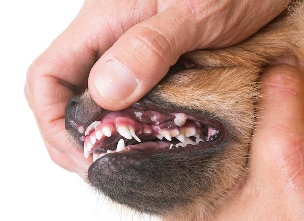 Can you get mouth ulcers from vaping? 