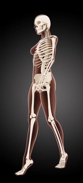 Can you drive with a fractured metatarsal? 
