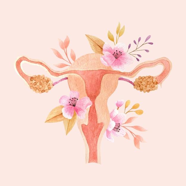 Can you get pregnant from dead sperm after vasectomy? 