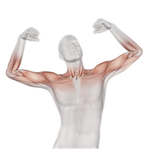 Can you overdo exercise after knee replacement? 
