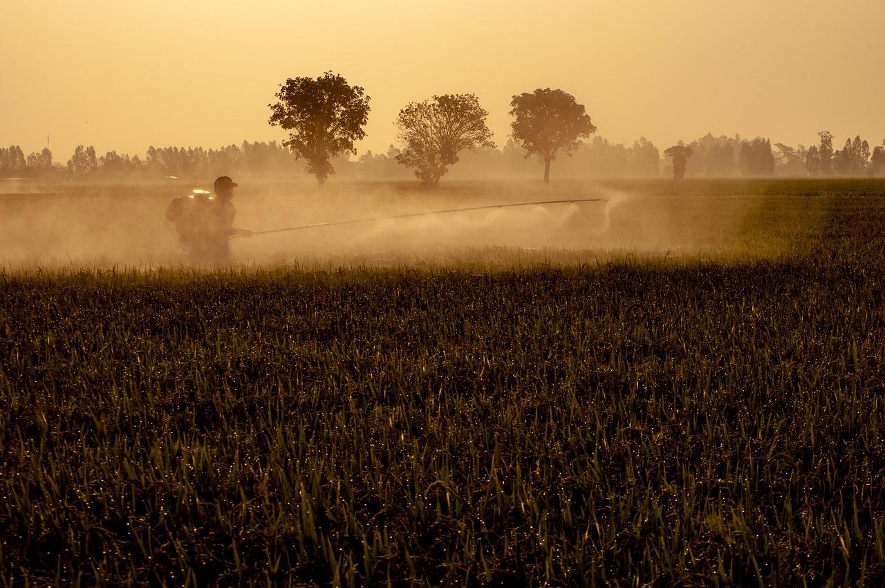 Can you still buy paraquat? 