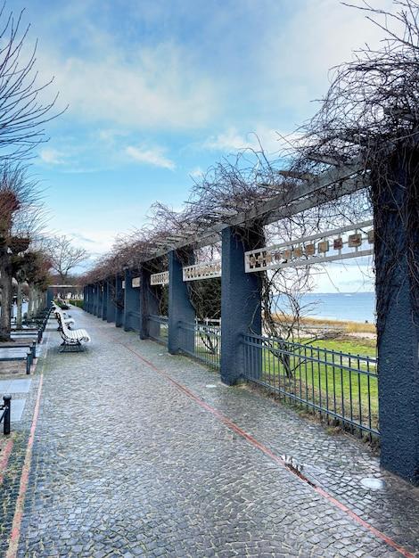 Can your bridge hold 100 pennies? 