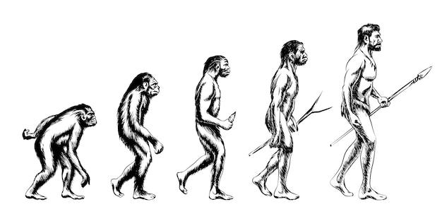 Why is cultural anthropology important essay? 