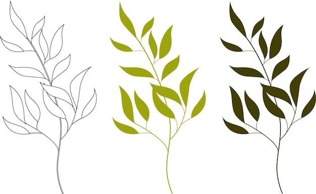 What are the three branches of sociology? 