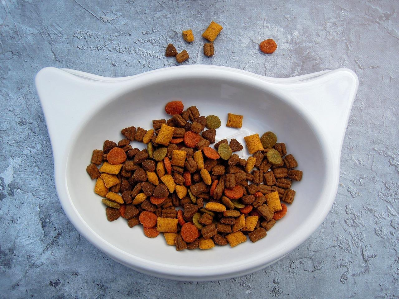 Does Iams dog food come from China? 