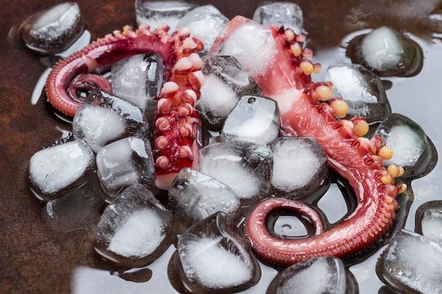 Does sugar make ice melt slower? 