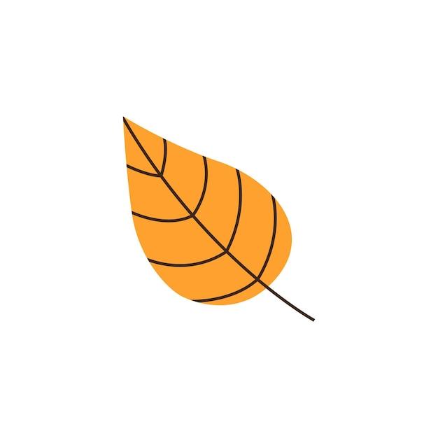 What are some words with the root dorm? 