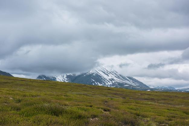 What is the main difference between the alpine tundra and arctic tundra? 