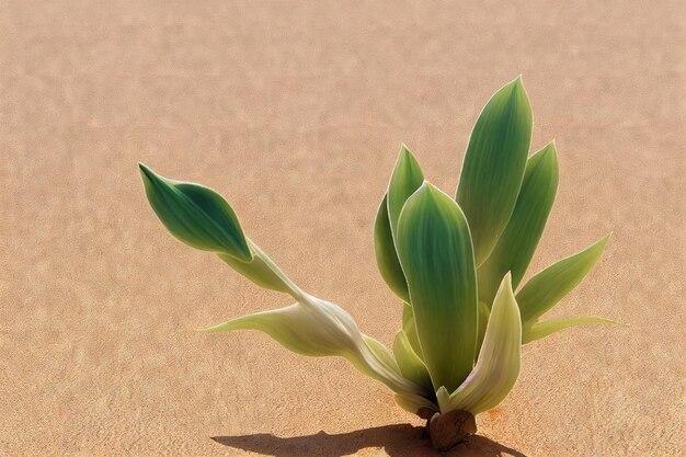 What plants live in Gobi Desert? 