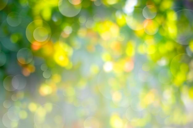 What does nature refer to in the nature vs nurture debate? 
