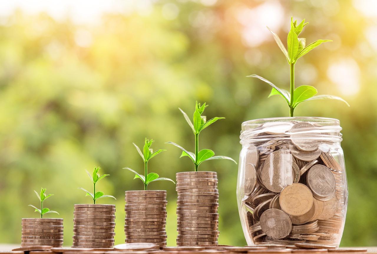 What are the functions of foreign banks? 