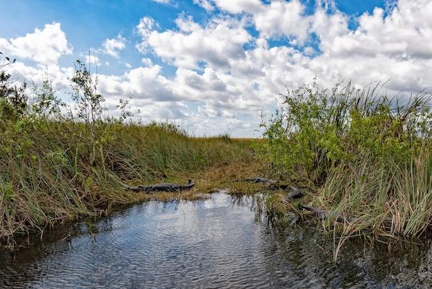 What is Freshwater Slough? 