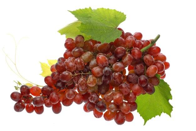 Do Grapes help with water retention? 