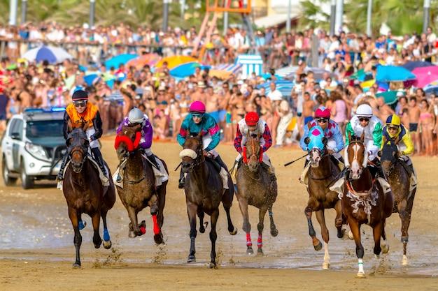 Who would win in a race a horse or a camel? 