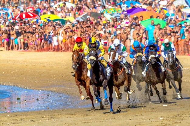 Who would win in a race a horse or a camel? 