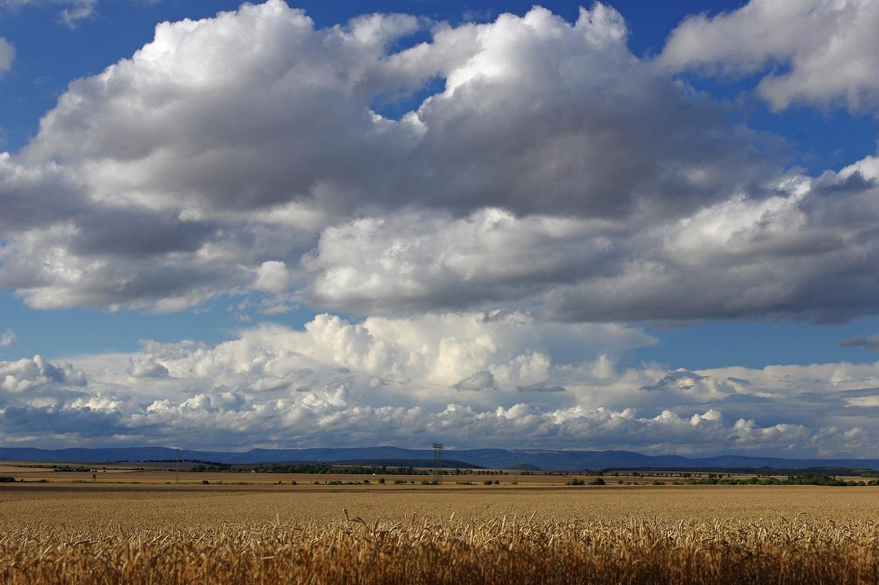How are coastal and interior plains similar and different? 