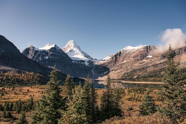 How are coastal and interior plains similar and different? 