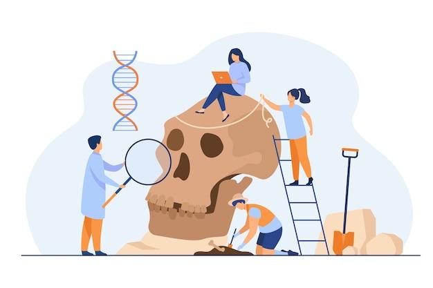 How do archaeologists and anthropologists study prehistory? 