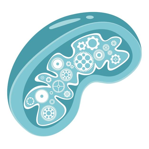 How do organelles work together for the cell to function? 