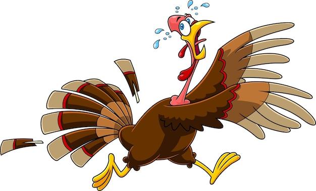 How fast can a scared Turkey Run? 