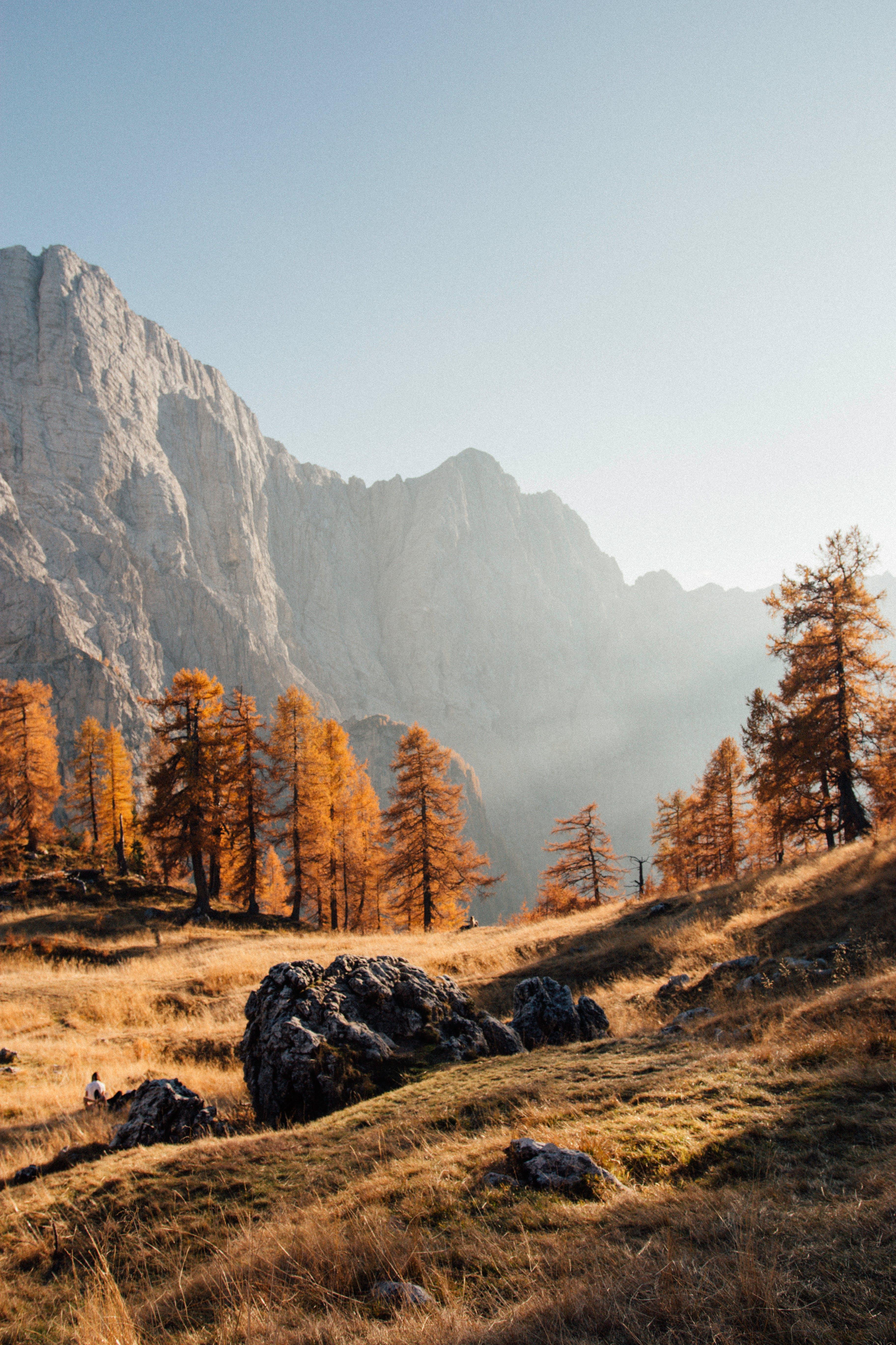 What is one way government actions can affect land? 