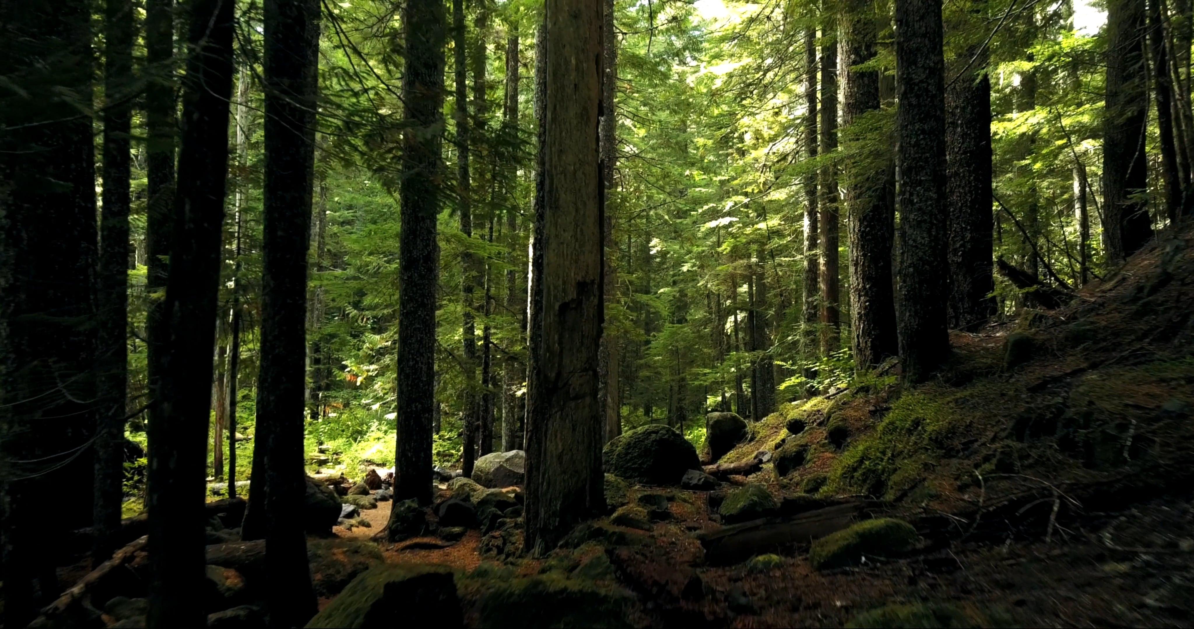 What is one way government actions can affect land? 