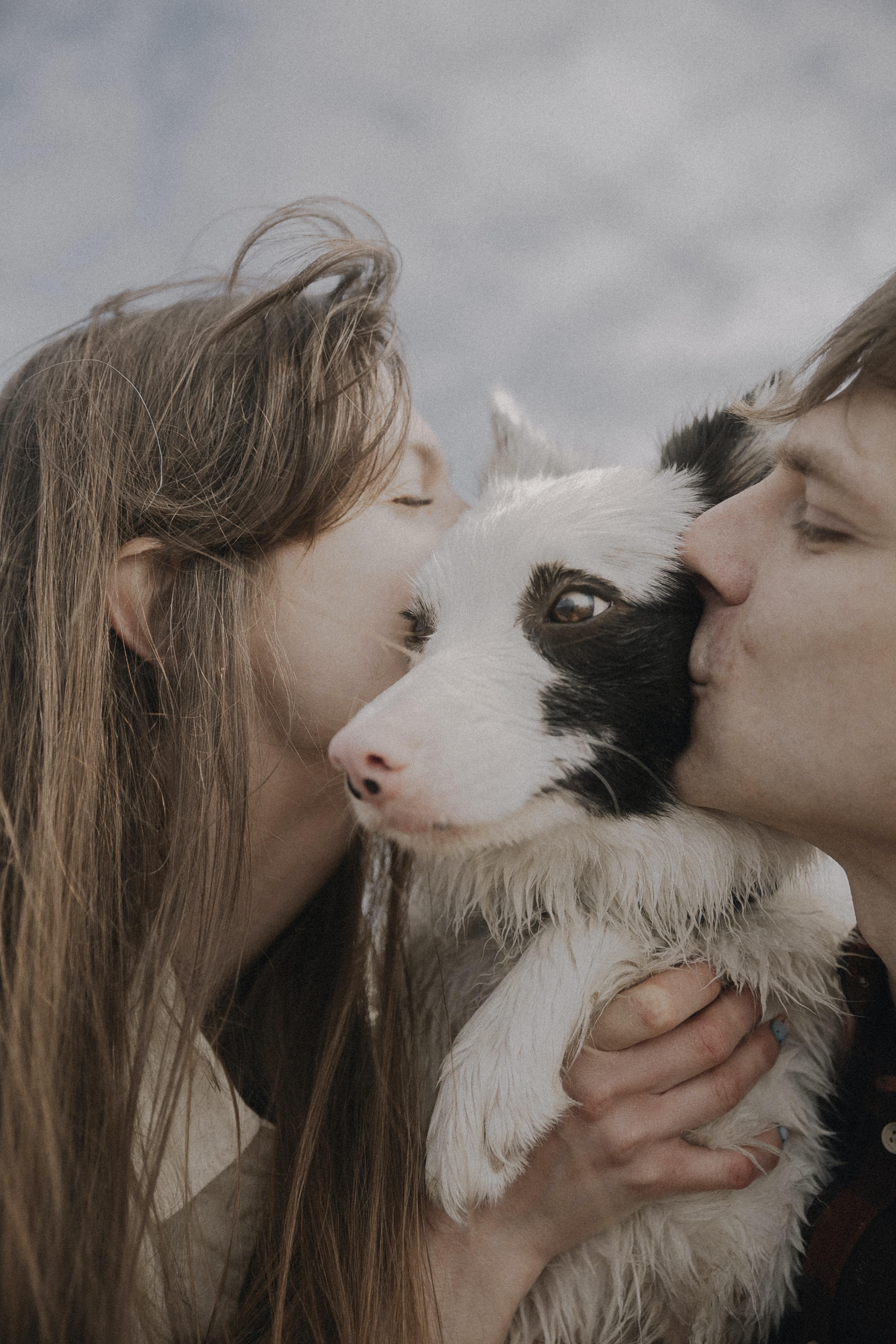 How long after applying Frontline Can I pet my dog? 