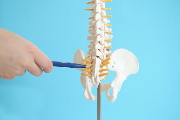 How long can you wait to repair a torn bicep tendon? 