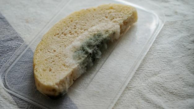 How long does it take mold to grow on bread? 