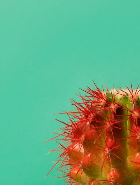 How long does it take to flush out a yeast infection? 