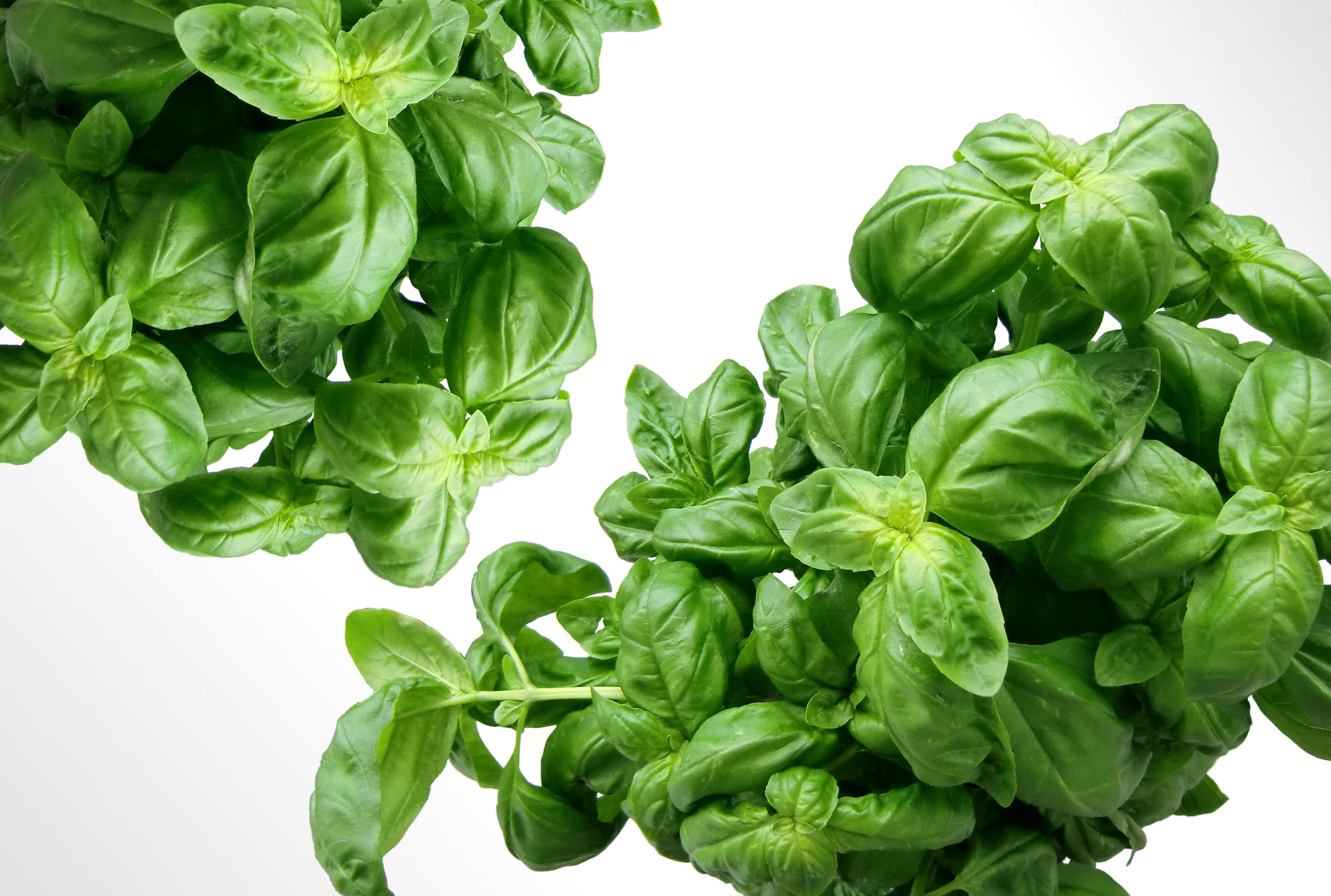 How many basil leaves make a tablespoon? 