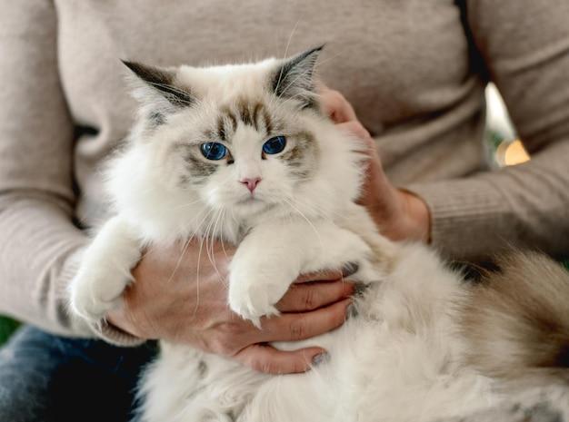 How many days are ragdolls pregnant? 