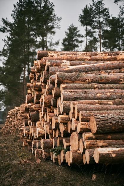 How many trees are cut down for paper towels? 