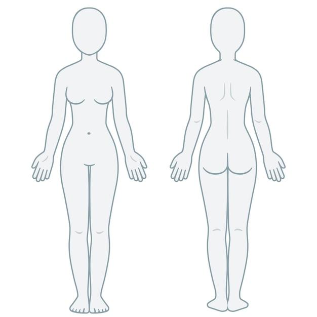 How much do figure drawing models make? 