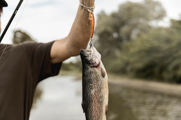 How much does a pike weigh? 